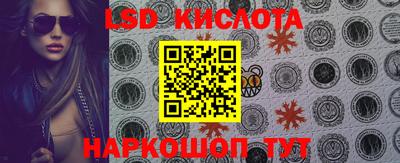 прущие крисы Кингисепп