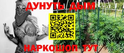прущие крисы Кингисепп