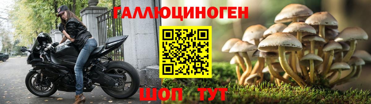 Псилоцибиновые грибы GOLDEN TEACHER Киров
